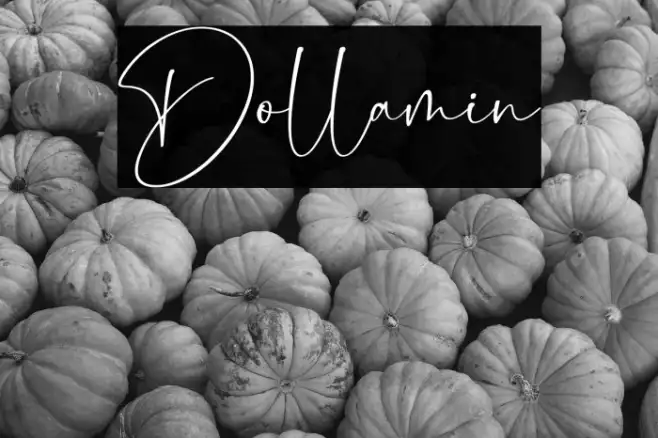 Dollamin Example 1