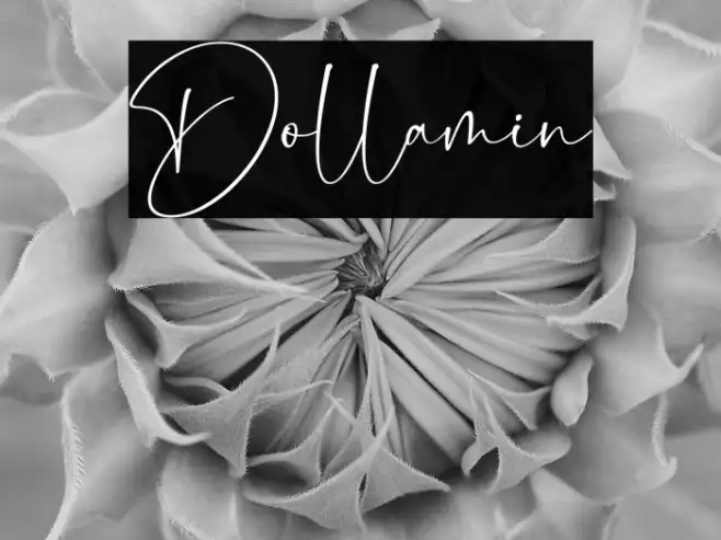 Dollamin Example 2