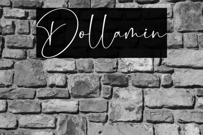 Dollamin Example 3