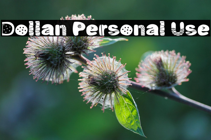 Dollan Personal Use Example 1