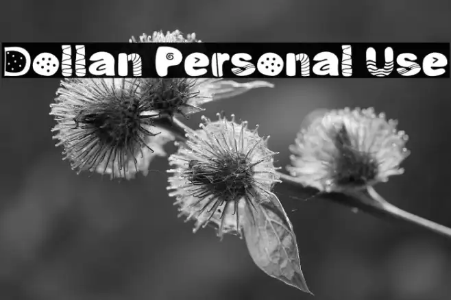 Dollan Personal Use Example 1