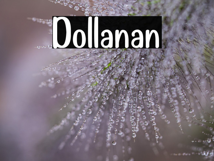 Dollanan Example 2