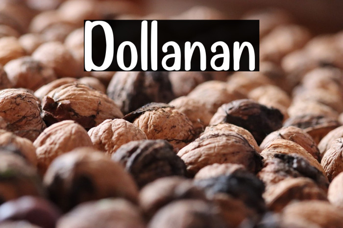 Dollanan Example 3
