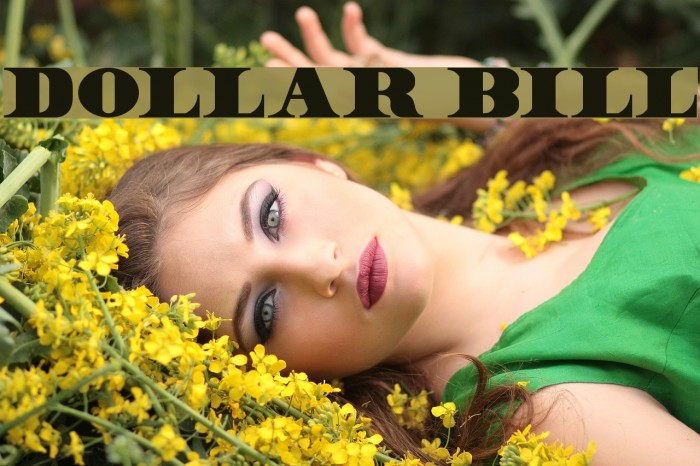 Dollar Bill Font examples