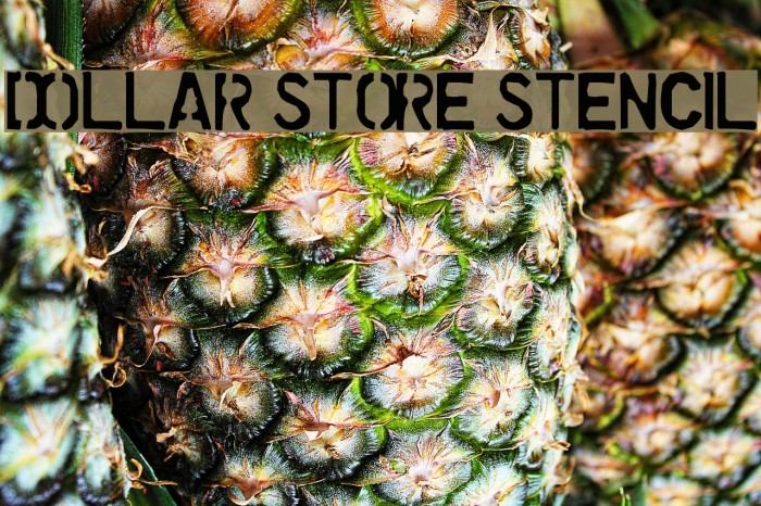 Dollar Store Stencil Font examples