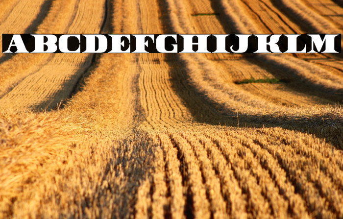 DollarBill Example 1