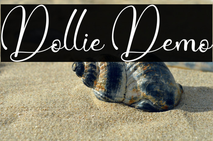 Dollie Demo Example 3