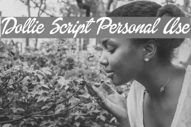 Dollie Script Personal Use フォント examples