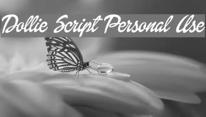 Dollie Script Personal Use フォント examples