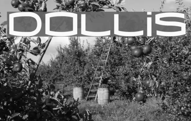 Dollis Font examples