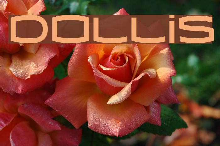 Dollis Caratteri examples