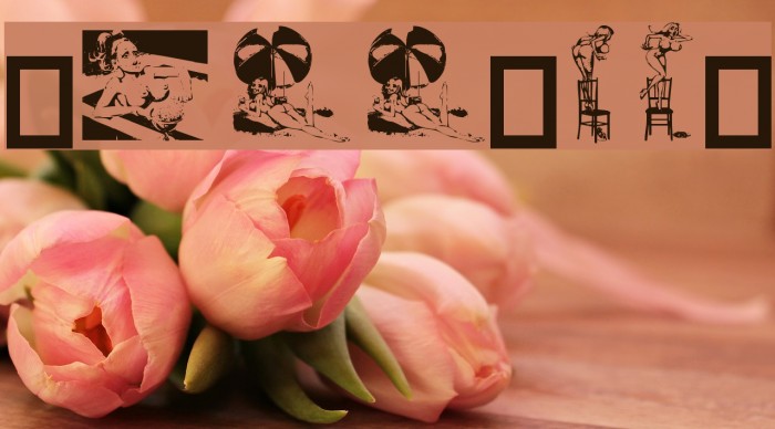 Dollybat Font examples