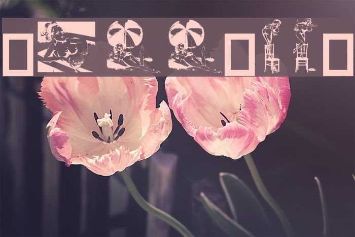 Dollybat Font examples