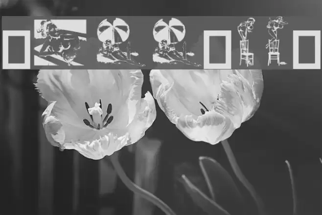 Dollybat Font examples