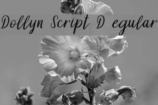 Dollyn Script DEMO Regular Font examples