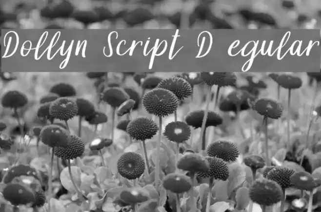 Dollyn Script DEMO Regular Font examples