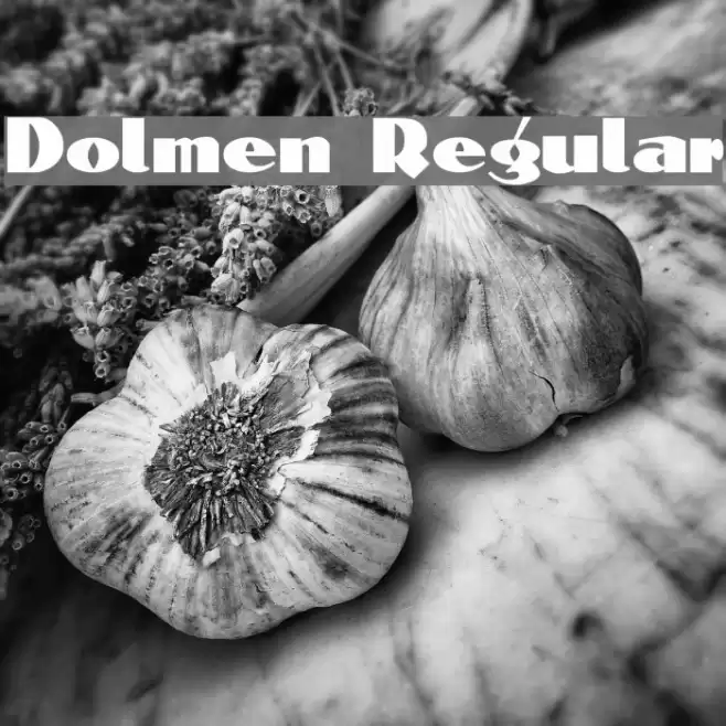 Dolmen Regular Font examples