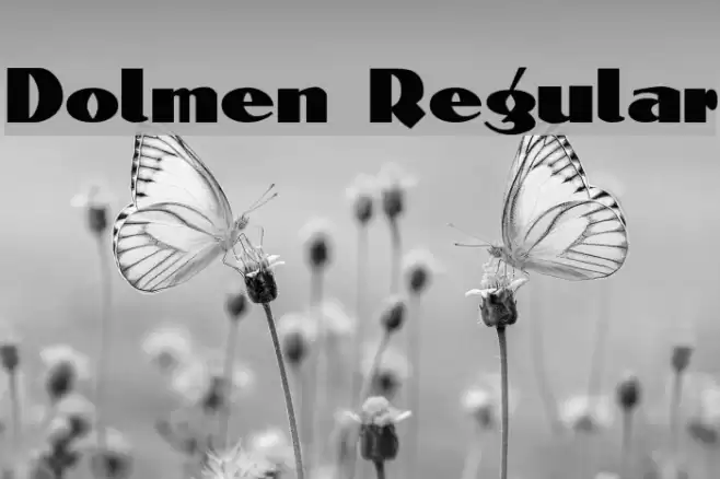 Dolmen Regular Font examples