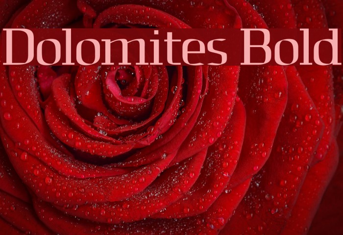 Dolomites Bold Font examples