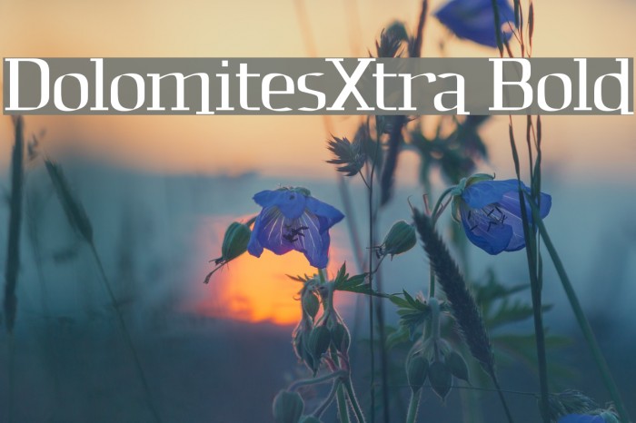 DolomitesXtra Bold Font examples