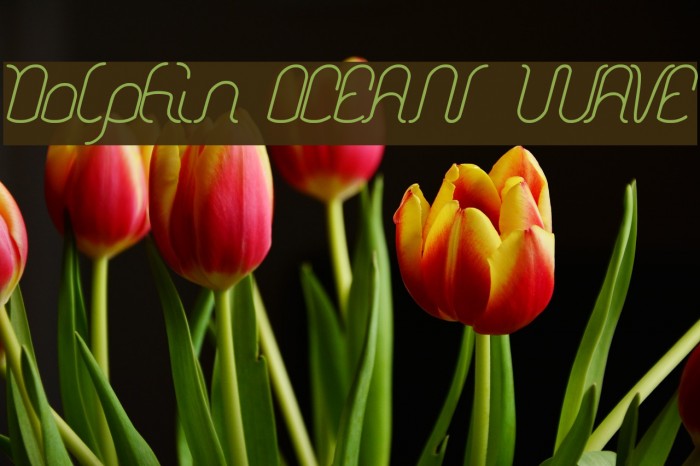 Dolphin OCEAN WAVE Font examples