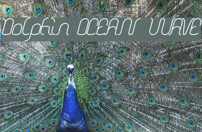 Dolphin OCEAN WAVE Example 3