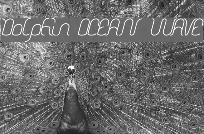 Dolphin OCEAN WAVE Font examples