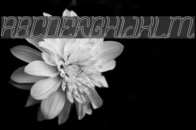 Dolphin Ocean Wave-Hollow Bold Font examples