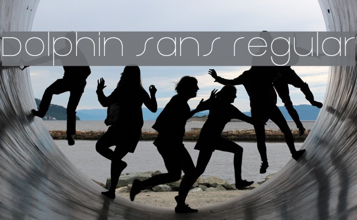 Dolphin Sans Regular Example 2