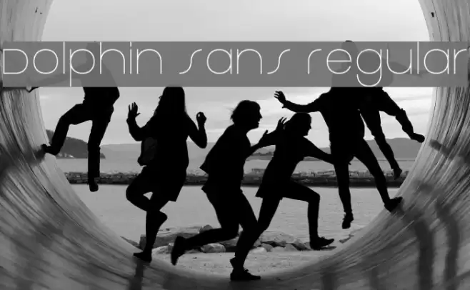 Dolphin Sans Regular Font examples