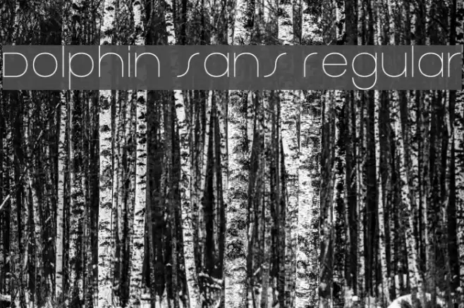 Dolphin Sans Regular Font examples