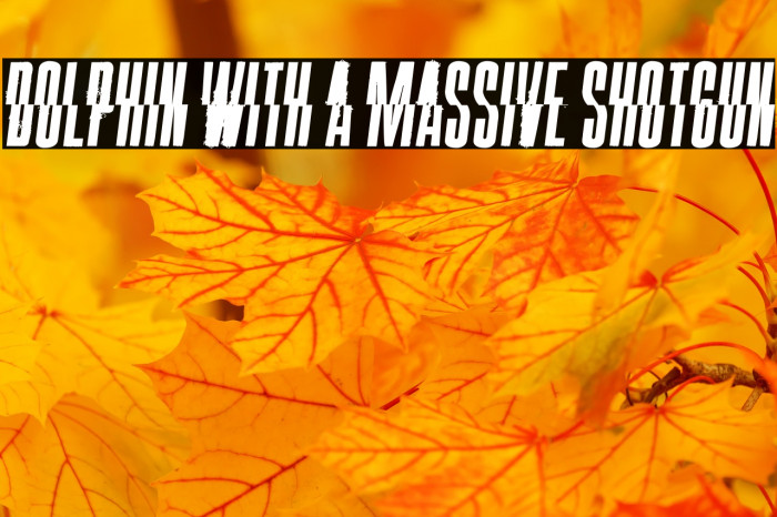 Dolphin with a Massive Shotgun Example 1