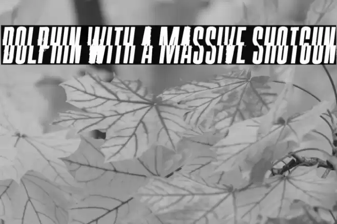 Dolphin with a Massive Shotgun Font examples