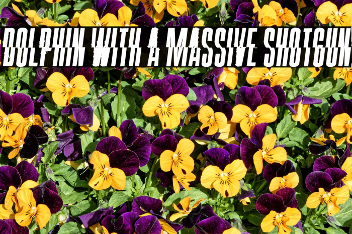 Dolphin with a Massive Shotgun Example 2