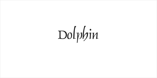 Dolphin Logo