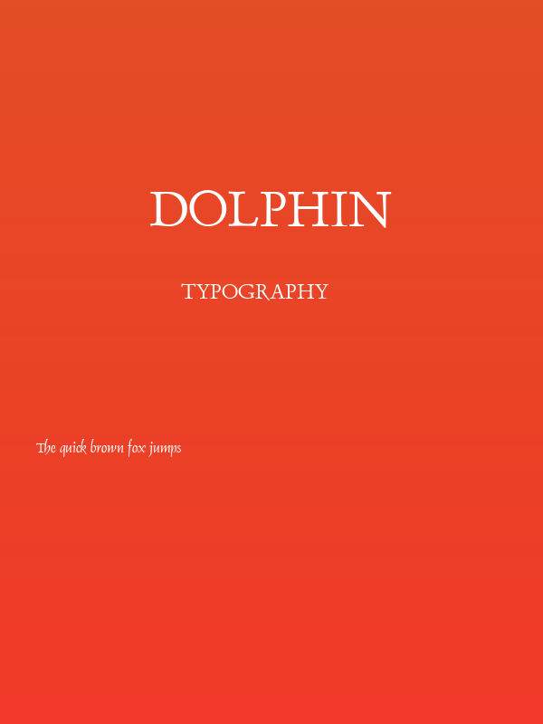 Dolphin Poster