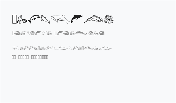 Dolphins Business Card