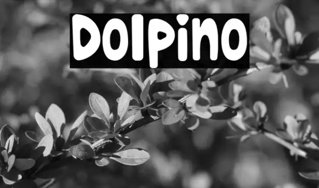 Dolpino Example 1