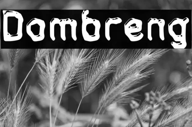 Dombreng Example 2