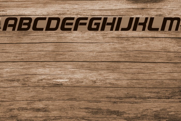 Domelen Italic Font examples