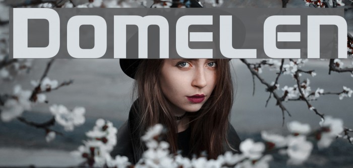 Domelen Font examples