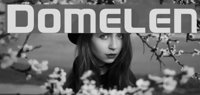 Domelen Example 2
