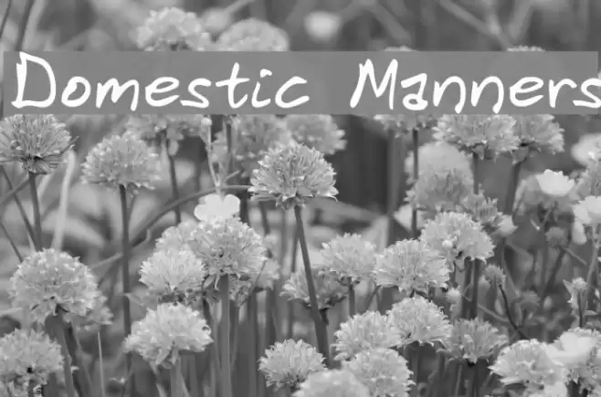 Domestic Manners Font examples