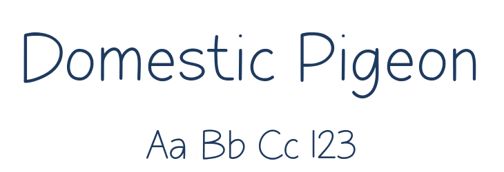 Domestic Pigeon Font Preview