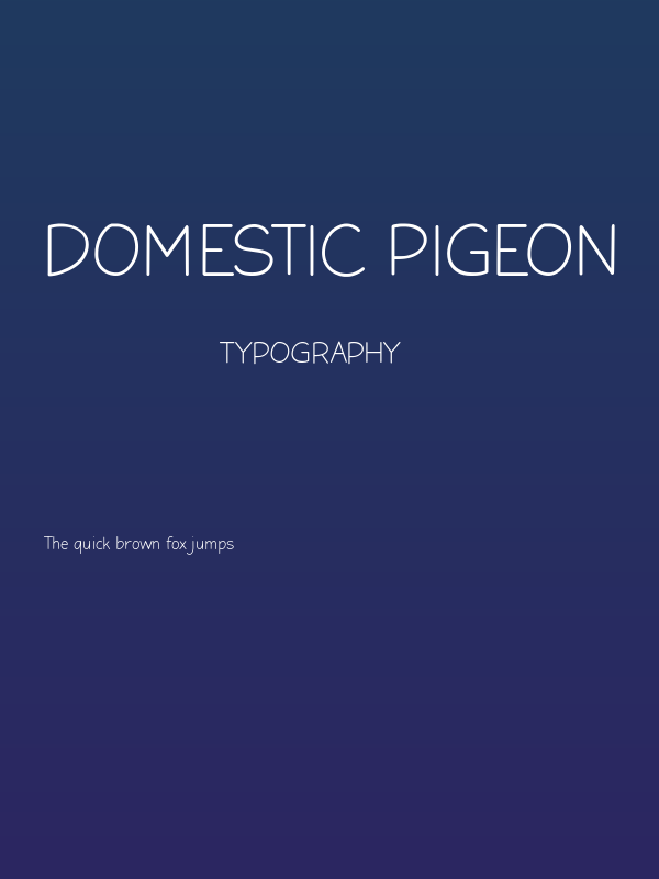 Domestic Pigeon Poster