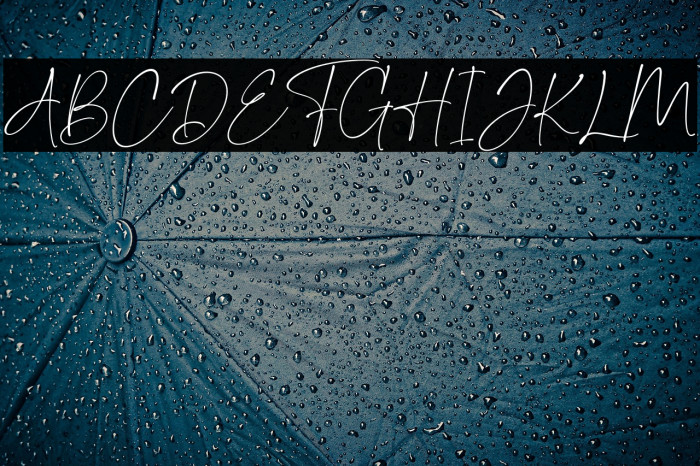 DomesticScript Example 1