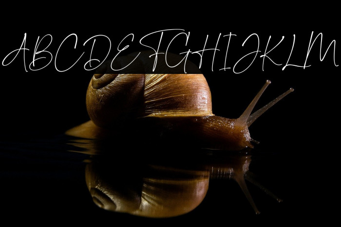 DomesticScript Example 2