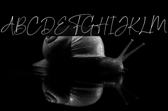 DomesticScript फ़ॉन्ट examples