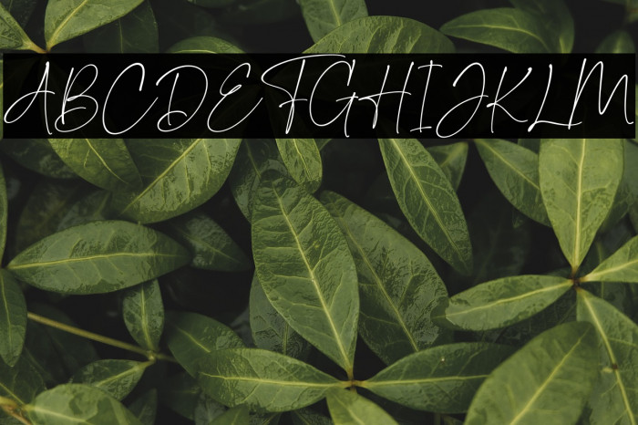 DomesticScript Example 3