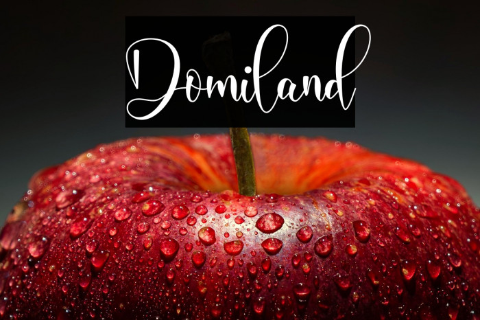 Domiland Example 1
